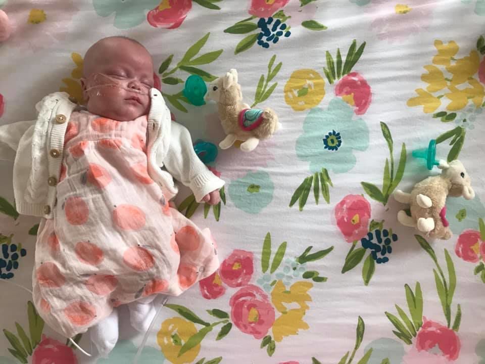 Kambry's first day home